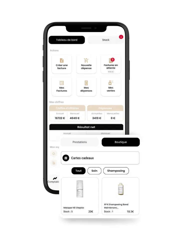 Capture de l'application : suivi de l'activité et de la comptabilité