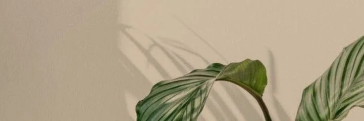 Réalisations de Leconte, onglerie à domicile